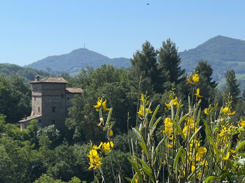 Torre San Bartolo Location